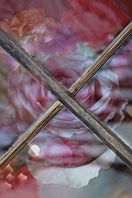 Wall_Art_Alphabet_Photography_Art_ 2479